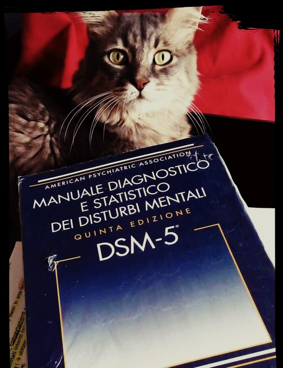 manuale diagnosi psicologica